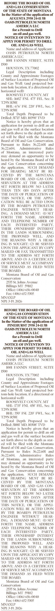 npid_031926_01_a_016_00_01_cc_art_13