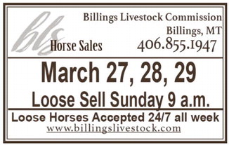 ccnw_031226_01_a_003_00_01_cc_art_4