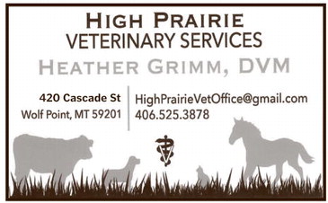 npid_031226_01_a_006_00_01_cc_art_5