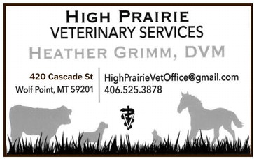 npid_031926_01_a_009_00_01_cc_art_7