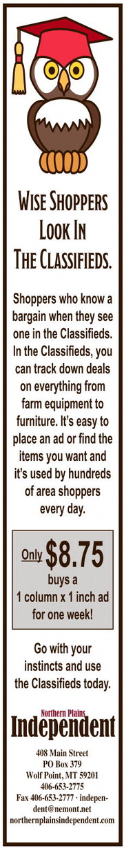 npid_032826_01_a_013_00_01_cc_art_18