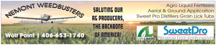 npid_032626_01_b_007_00_01_cc_art_1