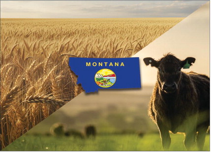 Saluting Montana’s Top Industry Saluting Montana’s Top Industry