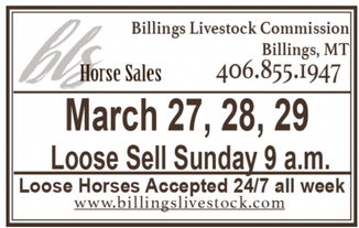 npid_031226_01_a_012_00_01_cc_art_6