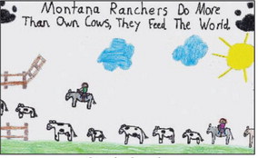 Sixth Grade Sixth Grade