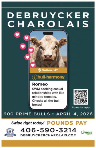 npid_031926_01_a_010_00_01_cc_art_4