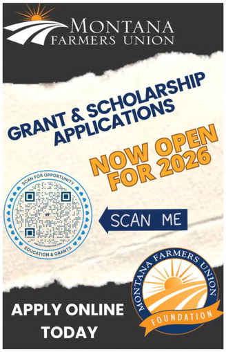 ccnw_040226_01_a_004_00_01_cc_art_5