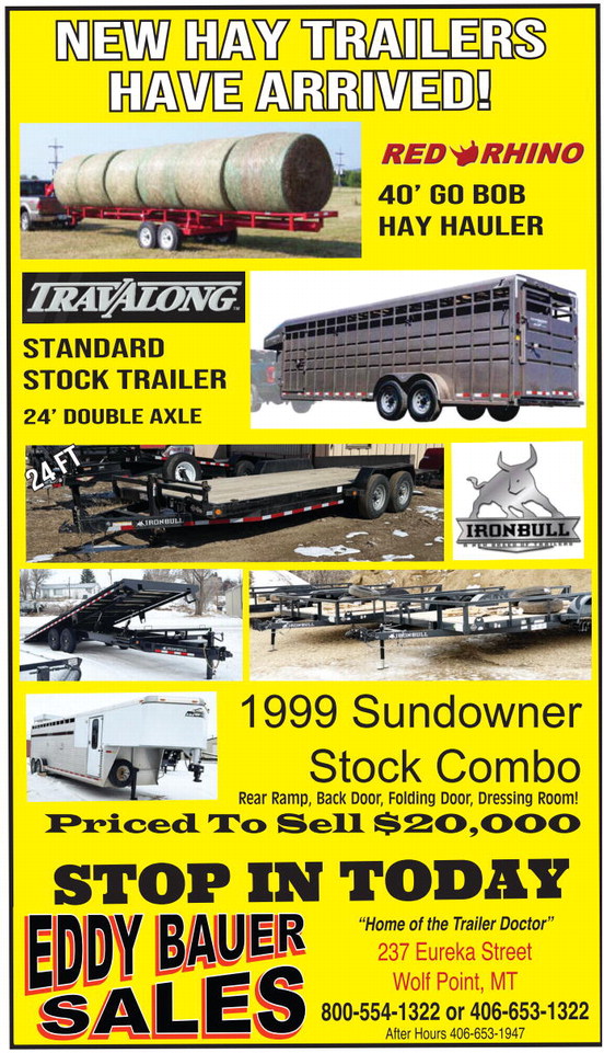 npid_040226_01_a_002_00_01_cc_art_8