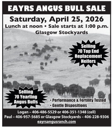 ccnw_042326_01_a_004_00_01_cc_art_9