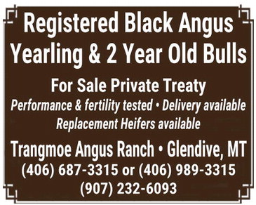 ccnw_041626_01_a_005_00_01_cc_art_20