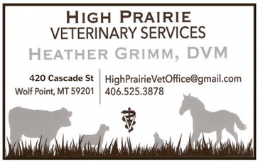 npid_040926_01_a_007_00_01_cc_art_11