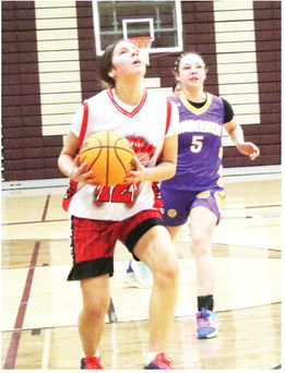 Black Wolf Black Wolf