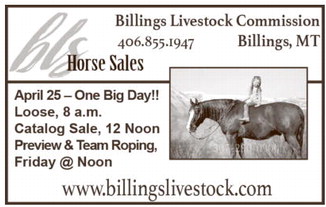 ccnw_041626_01_a_003_00_01_cc_art_9