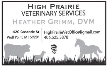 npid_042326_01_a_007_00_01_cc_art_5