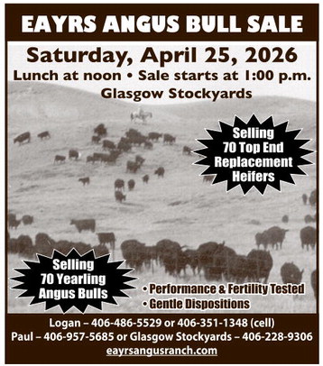 npid_041626_01_a_009_00_01_cc_art_8