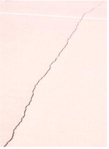 School To Repair Gym  Floor, Tennis Courts