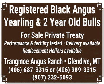 npid_041626_01_a_006_00_01_cc_art_6