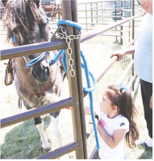 Interest In Horsemanship  Clinics Grows In Area