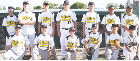 Yellowjackets Step Up For Solid Baseball Season Yellowjackets Step Up For Solid Baseball Season