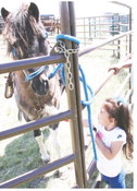 Interest In Horsemanship Clinics Grows In Area Interest In Horsemanship Clinics Grows In Area