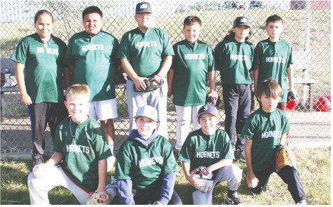 Hornets