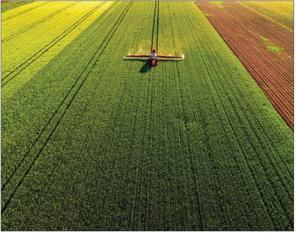 MSU Extension Specialists Suggest  Ways To Manage Rising Fertilizer Costs