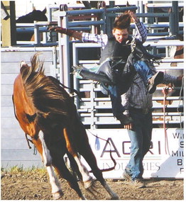 Individuals Place During Area Rodeo Action Individuals Place During Area Rodeo Action