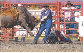Bullfighter Making First Trip To Stampede