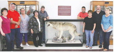 Class Of 1971 Adds Plaque To School’s Wolf Mount Class Of 1971 Adds Plaque To School’s Wolf Mount