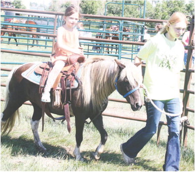 Spotted Bull Puts Horses In Spotlight