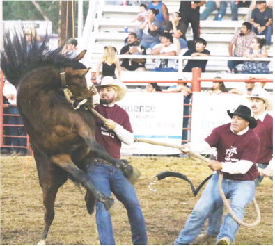 Wild Horse Race Wild Horse Race