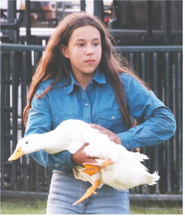 2026 Roosevelt County Fair  Small Animal Show Results