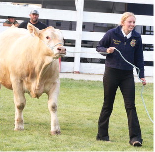 Albus Takes Grand Champion Title