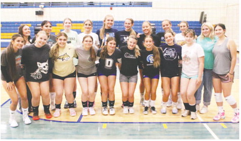 Scobey Volleyball Seeks State Tournament Berth