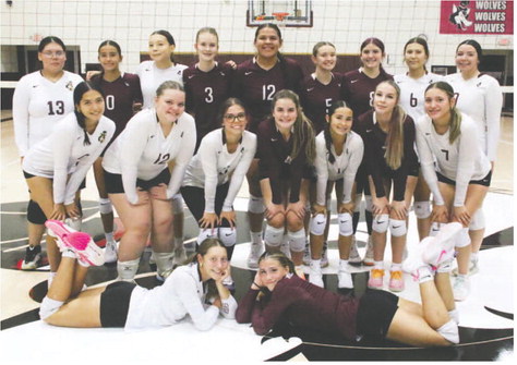 Lady Wolves Look To Move Up In League Standings