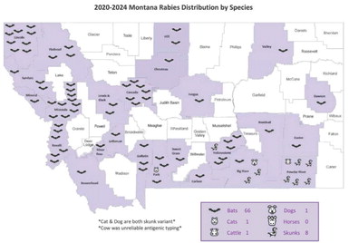 Protecting Neighbors, Pets:  Rabies In Roosevelt County