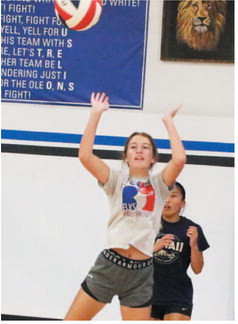 Lustre Volleyball