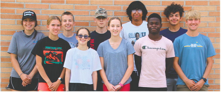 Area Runners Have Goal On State Competition