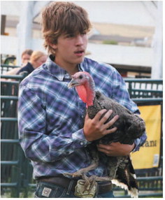 2026 Roosevelt County Fair Small Animal Show Results 2026 Roosevelt County Fair Small Animal Show Results