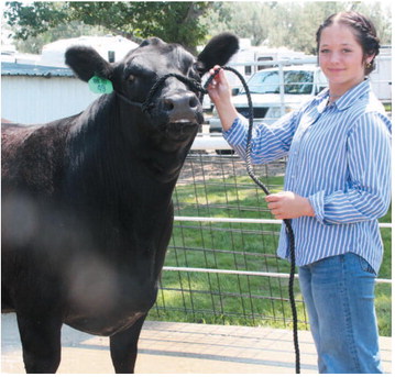 Hard Work Pays Off For Cole At Daniels County Fair