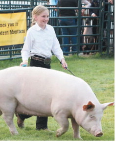 2026 Fair Livestock Showmanship Results
