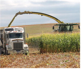 Record-High Diesel Prices Put Pressure On Ag Industry