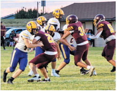Poplar Defense