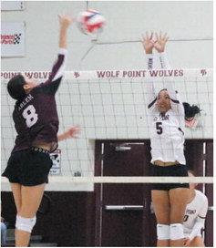 Lady Wolves Fall To Harlem