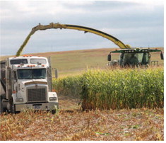 Record-High Diesel Prices Put Pressure On Ag Industry