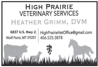 northernplainsindependent_20261001_hel_npid_100126_01_a_010_00_01_cc_w-or9_art_6.xml
