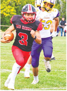 Red Hawks Drop High-Scoring Game