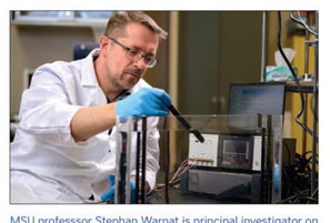 MSU Researchers Aim to Eliminate Harmful  Bacteria from Hydroponic Farming Systems