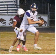 Wolves Lose To Fairfield Wolves Lose To Fairfield