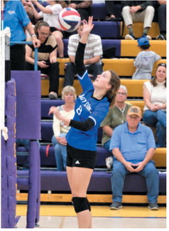 Lustre Volleyball